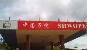 济宁加油站爆料案件最新,真相揭露与法律追责并行 第2张 济宁加油站爆料案件最新,真相揭露与法律追责并行 第2张