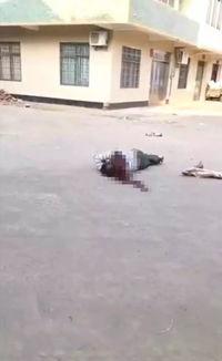 广东徐闻爆料事件最新,真相与争议交织的舆情风暴 第2张 广东徐闻爆料事件最新,真相与争议交织的舆情风暴 第2张