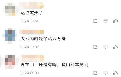 热点视频爆料点击进入,点击进入,探寻事件全貌 第2张 热点视频爆料点击进入,点击进入,探寻事件全貌 第2张